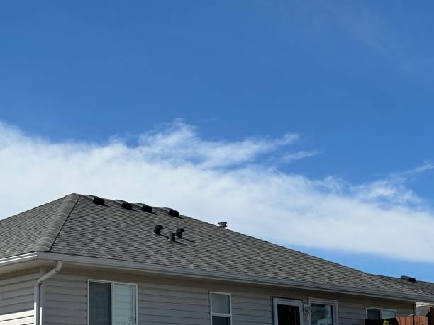 Professional Roofing Service in Orangeville, UT